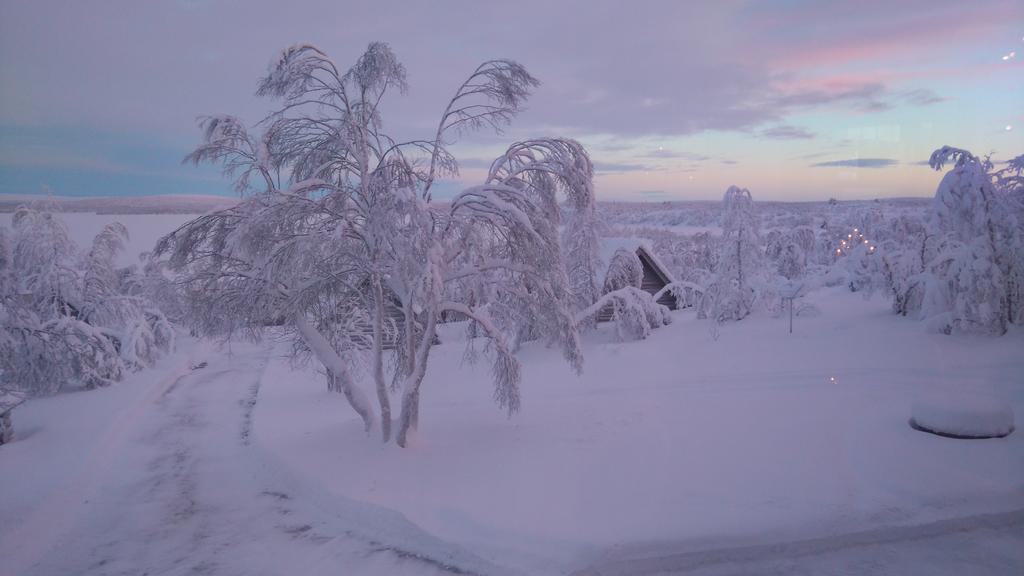 Galdotieva-Seo Villa Leppäjärvi Exterior foto